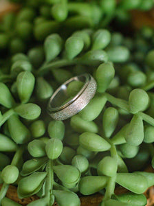 Stainless steel glitter spinner anxiety ring